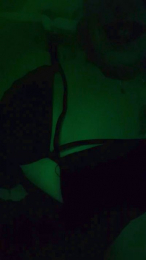 vio921 webcam model stream image