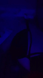 vio921 webcam model stream image