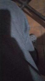 sexycum66666 webcam model stream image