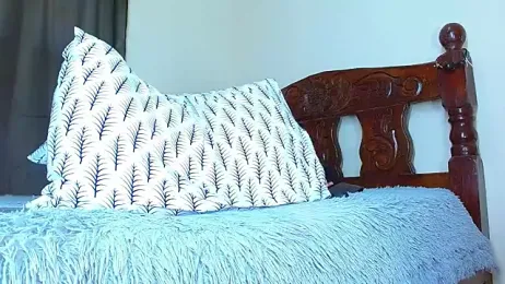 jeilerth webcam model stream image