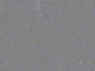 danielgillig webcam model stream image