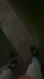 Blacktatto94 webcam cam4 model stream image