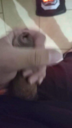 Femmto webcam model stream image