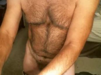 hairypecsguy webcam model stream image