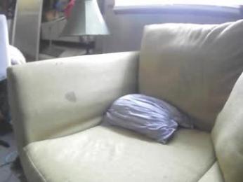 lilybvixen webcam model stream image