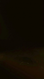 sexibeba2 webcam model stream image
