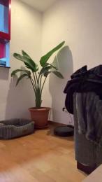 Xxl_1987 webcam cam4 model stream image