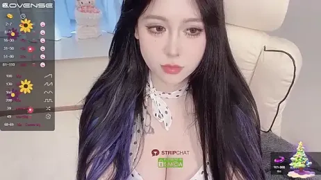 Naixue-520 webcam model stream image