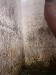 TamiliD1 webcam model stream image