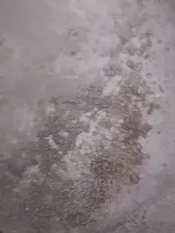 SalariedNudist webcam stripchat model stream image