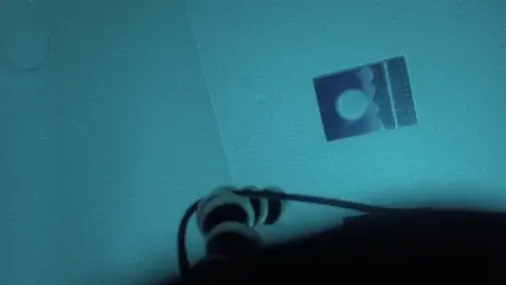 Armyexhibitionistvet webcam stripchat model stream image