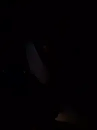 Armyexhibitionistvet webcam stripchat model stream image