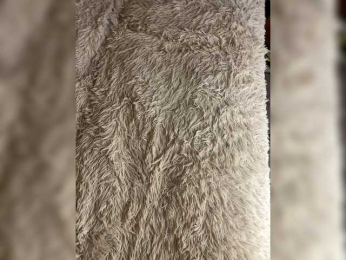 kittens1 webcam model stream image