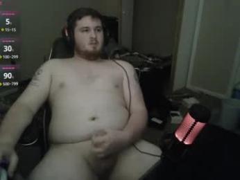 sideswitch webcam model stream image