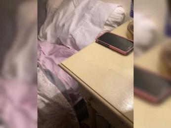 RAWandREALaf webcam model stream image