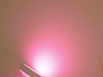 nya_ri webcam model stream image