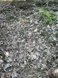 Buroo97 webcam model stream image