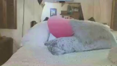 fisching webcam model stream image