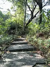 Zack2308tw webcam stripchat model stream image