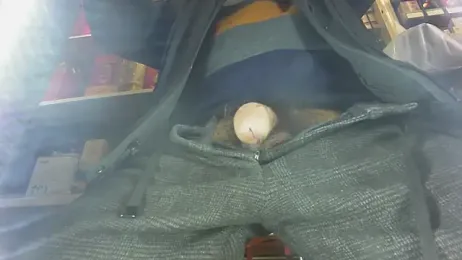 taopiaopiao webcam model stream image