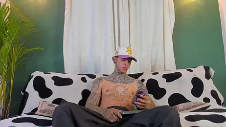 Aron_ford webcam model stream image