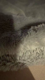 herrin2001 webcam model stream image