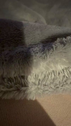 herrin2001 webcam model stream image