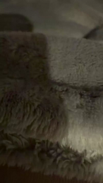 herrin2001 webcam model stream image