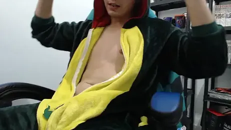 DinoZero webcam model stream image