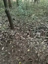 pimange34 webcam model stream image