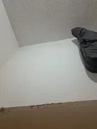 BotaPraEsguircha webcam model stream image