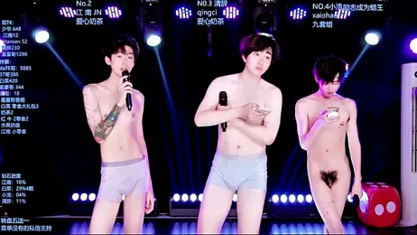 AOA-MIC webcam model stream image