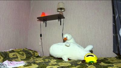 WhitneyBlock webcam model stream image