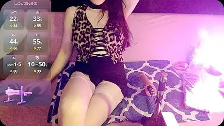 babygirl---zehra webcam model stream image