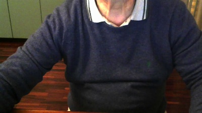 Vibra3 webcam model stream image