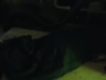 angelinasia webcam model stream image