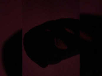 BabyGimmeLuv webcam bongacams model stream image