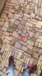 NovinSafdoBR webcam model stream image