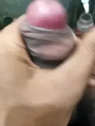 siddBus webcam model stream image