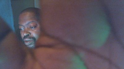 Nyctalus webcam model stream image