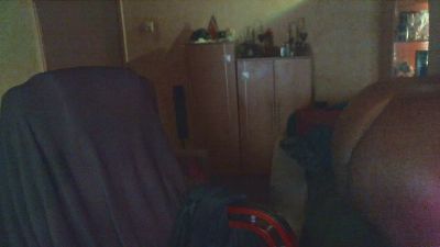 Nyctalus webcam model stream image