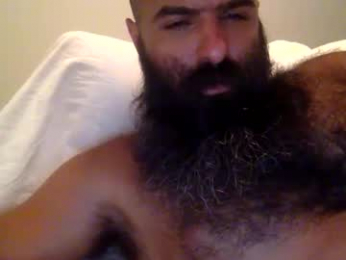 woof_wolf37 webcam model stream image
