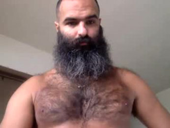 woof_wolf37 webcam chaturbate model stream image