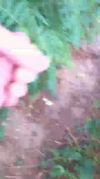 kinkycouple4mo4 webcam cam4 model stream image