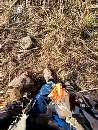 murokkk31 webcam model stream image