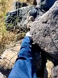 murokkk31 webcam model stream image