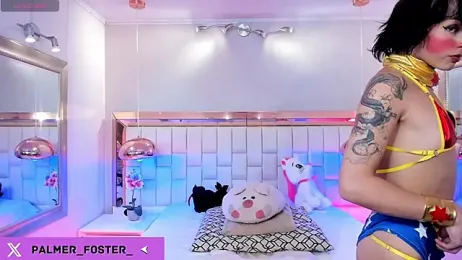 Palmer-Foster webcam model stream image