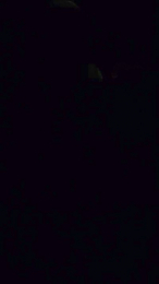 chrislit702 webcam model stream image