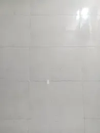 VJ17 webcam model stream image