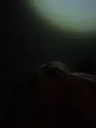 HotGermanGirl97 webcam model stream image
